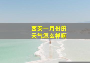 西安一月份的天气怎么样啊