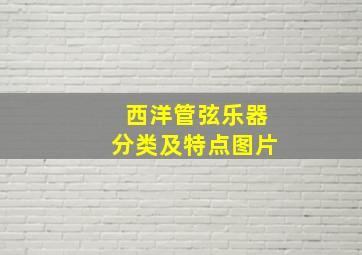 西洋管弦乐器分类及特点图片