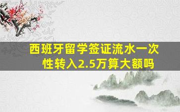 西班牙留学签证流水一次性转入2.5万算大额吗