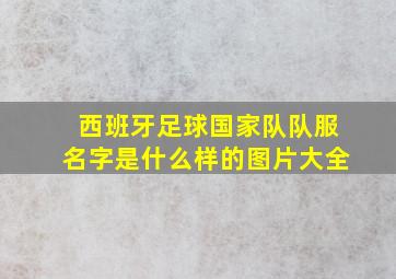 西班牙足球国家队队服名字是什么样的图片大全