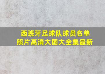 西班牙足球队球员名单照片高清大图大全集最新