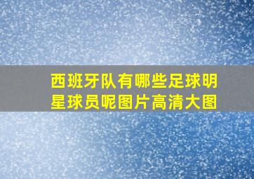 西班牙队有哪些足球明星球员呢图片高清大图