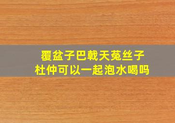 覆盆子巴戟天菟丝子杜仲可以一起泡水喝吗