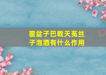 覆盆子巴戟天菟丝子泡酒有什么作用