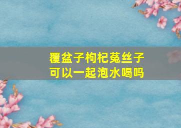 覆盆子枸杞菟丝子可以一起泡水喝吗