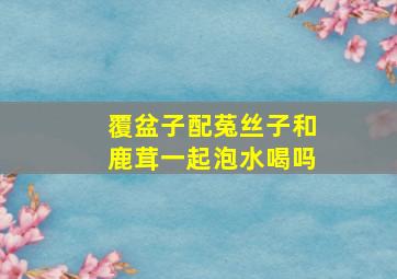 覆盆子配菟丝子和鹿茸一起泡水喝吗