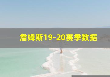 詹姆斯19-20赛季数据