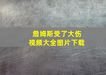 詹姆斯受了大伤视频大全图片下载