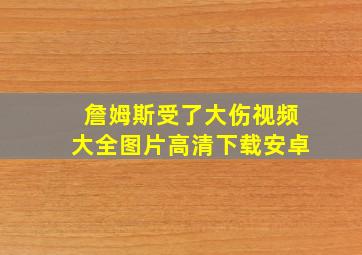 詹姆斯受了大伤视频大全图片高清下载安卓