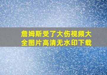 詹姆斯受了大伤视频大全图片高清无水印下载