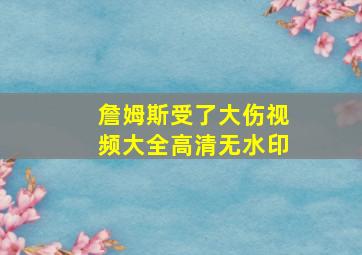 詹姆斯受了大伤视频大全高清无水印