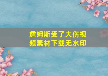 詹姆斯受了大伤视频素材下载无水印