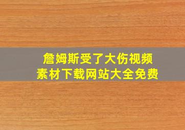 詹姆斯受了大伤视频素材下载网站大全免费