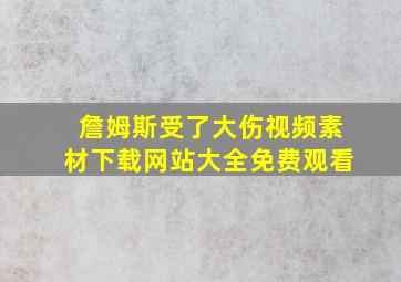 詹姆斯受了大伤视频素材下载网站大全免费观看