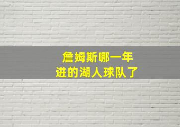 詹姆斯哪一年进的湖人球队了