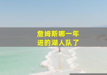 詹姆斯哪一年进的湖人队了