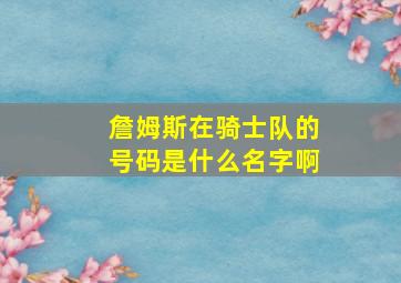 詹姆斯在骑士队的号码是什么名字啊