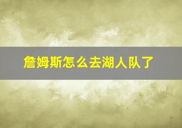 詹姆斯怎么去湖人队了