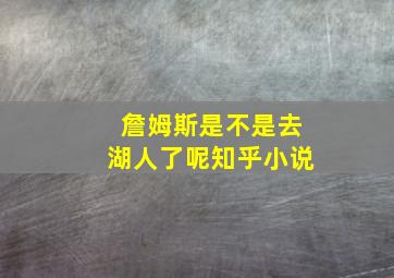 詹姆斯是不是去湖人了呢知乎小说