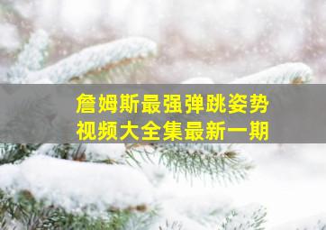 詹姆斯最强弹跳姿势视频大全集最新一期