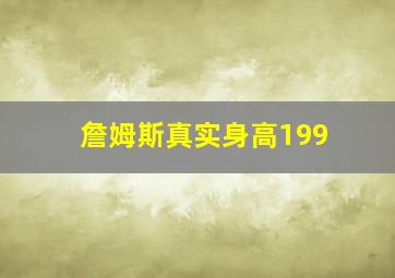 詹姆斯真实身高199