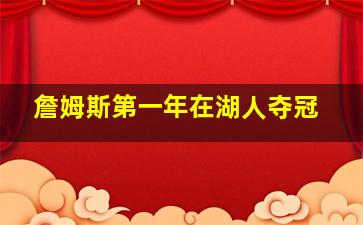 詹姆斯第一年在湖人夺冠