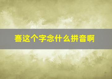 謇这个字念什么拼音啊