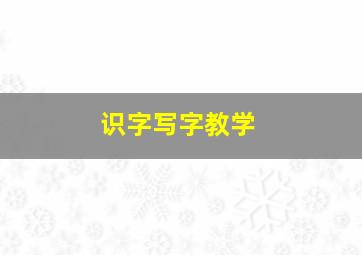 识字写字教学