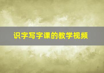 识字写字课的教学视频