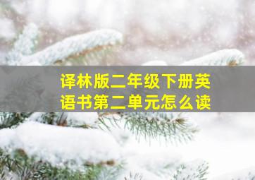 译林版二年级下册英语书第二单元怎么读