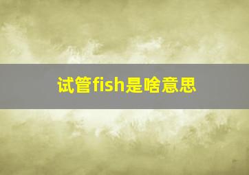 试管fish是啥意思