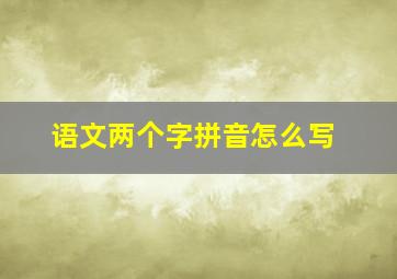 语文两个字拼音怎么写