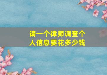 请一个律师调查个人信息要花多少钱