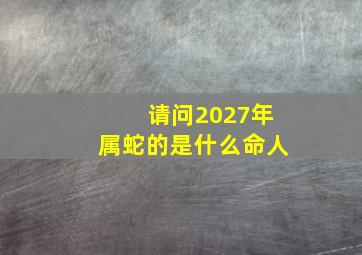 请问2027年属蛇的是什么命人