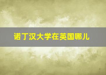 诺丁汉大学在英国哪儿