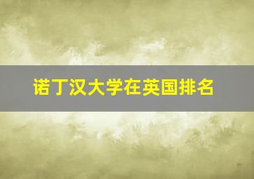 诺丁汉大学在英国排名