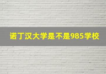 诺丁汉大学是不是985学校