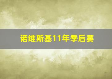 诺维斯基11年季后赛