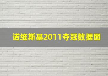 诺维斯基2011夺冠数据图