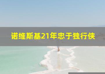 诺维斯基21年忠于独行侠