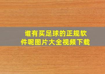 谁有买足球的正规软件呢图片大全视频下载