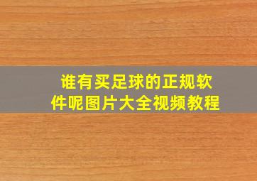 谁有买足球的正规软件呢图片大全视频教程