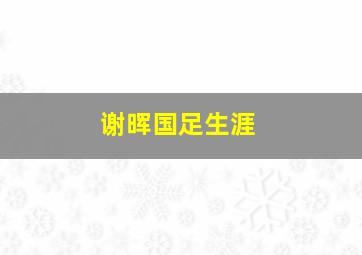 谢晖国足生涯