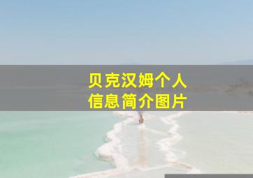 贝克汉姆个人信息简介图片