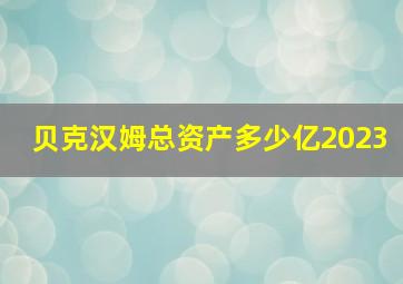 贝克汉姆总资产多少亿2023