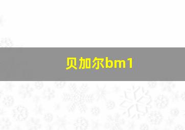 贝加尔bm1