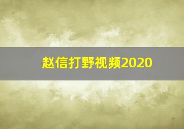 赵信打野视频2020