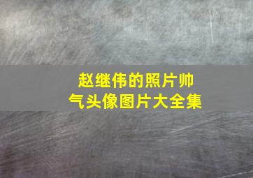 赵继伟的照片帅气头像图片大全集