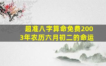 超准八字算命免费2003年农历六月初二的命运