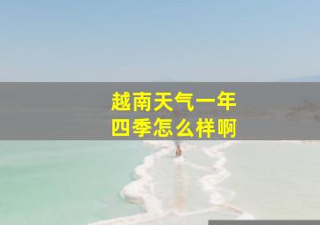 越南天气一年四季怎么样啊